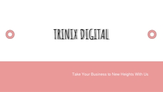 Trinix Digital - Social Media Marketing in Edappal