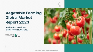 Vegetable Farming Global Market Size, Share, By Product, By Distribution Channel, By Application, By Crop Type, Opportun