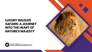 Luxury Wildlife Safaris: A Journey into the Heart of Nature's Majesty