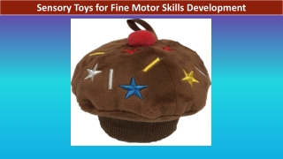 Sensory Toys for Fine Motor Skills Development