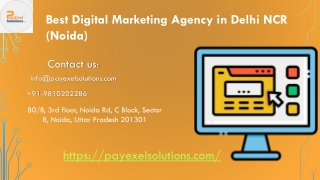 Digital Marketing Company in Noida (Delhi)