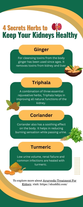 Ayurvedic Treatment For Kidney