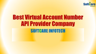 Affordable VAN API Service Provider Company