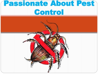 PASSIONATE ABOUT PEST CONTROL