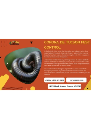 Corona De Tucson Pest Control - AZP