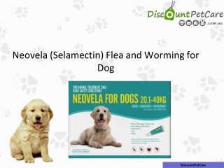 Buy Neovela (Selamectin) Flea and Worming for Dogs Online at DiscountPetCare