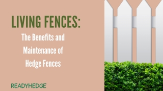 Living Fences The Benefits and Maintenance of Hedge Fences