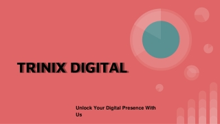 Choose Affordable SEO Services in Calicut - Trinix Digital