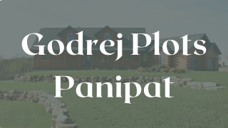 Godrej Plots Panipat - PDF