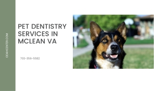 Pet Dentistry Services in McLean VA