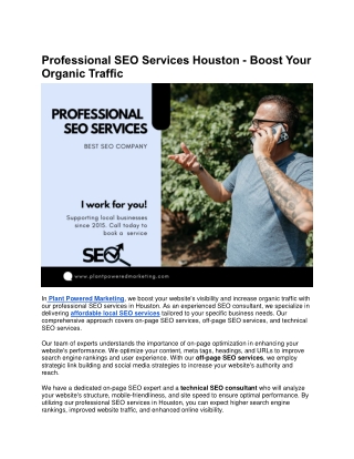 Professional SEO Services Houston