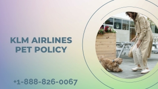 Comprehensive Guide to KLM Airlines Pet Policy: Call  1-888-826-0067 for Expert