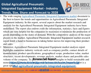 Agricultural Pneumatic Integrated Equipment Market- Agricultural & Animal feed