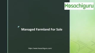 Managed Farmland For Sale - Hosachiguru