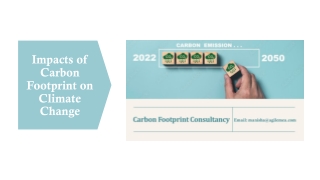 Impacts of Carbon Footprint on Climate Change