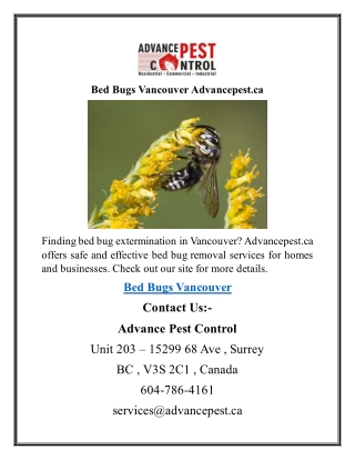 Bed Bugs Vancouver Advancepest.ca
