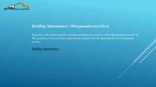 Building Maintenance  Morganandsonscivils.ie