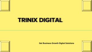 Best Digital Marketing Agency in Calicut 2023 - 2024