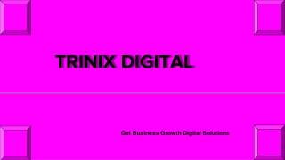 Best SEO Company in Calicut 2023 - 2024