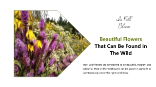 Beautiful Flowers That Can Be Found in The Wild - In Full Bloom Florists