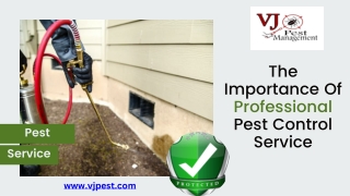 Importance Of Professional Pest Control in Manhattan with VJ Pest Management