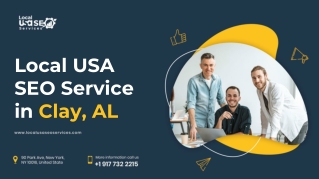 Local USA SEO Service in Clay, AL