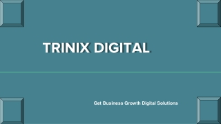 Best SEO Services in Calicut 2023 - 2024