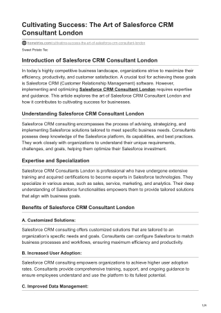 Cultivating Success The Art of Salesforce CRM Consultant London