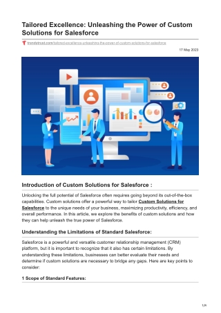 Tailored Excellence Unleashing the Power of Custom Solutions for Salesforce