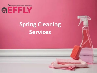 Spring Cleaning Services