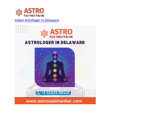 Indian Astrologer in Delaware