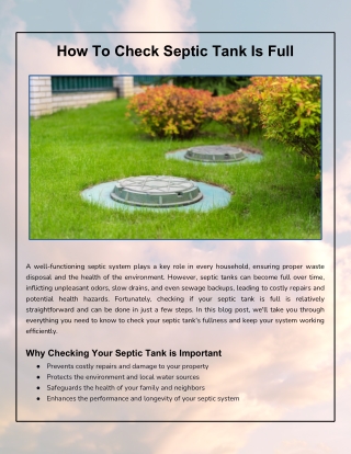 Signs of a Full Septic Tank and How to Verify