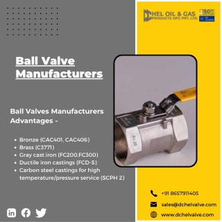 Check Valve | Plug Valve| Choke Valves - DChel Valves