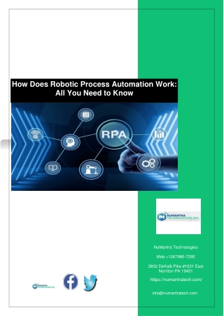 How Does Robotic Process Automation Work: All You Need to Know