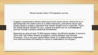 Miracle Garden Dubai: A Photographic Journey