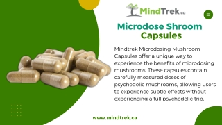 Microdose Shroom Capsules - Mindtrek