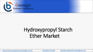 Hydroxypropyl Starch Ether Market 2023-2030