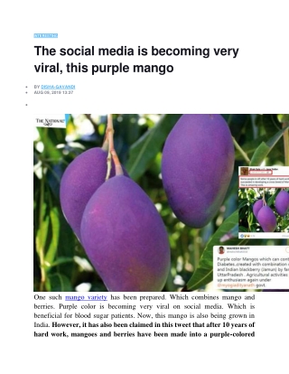 The social media is becoming very viral this purple mango