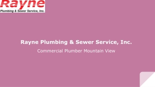 Rayne Plumbing & Sewer Service, Inc.