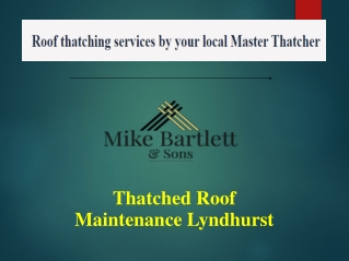 Thatched Roof Maintenance Lyndhurst