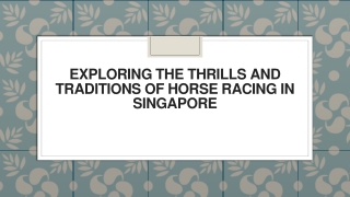 Exploring the Thrills and Traditions of Horse Racing in Singapore