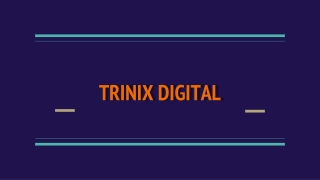 Best Digital Marketing & Advertising Agency in Calicut