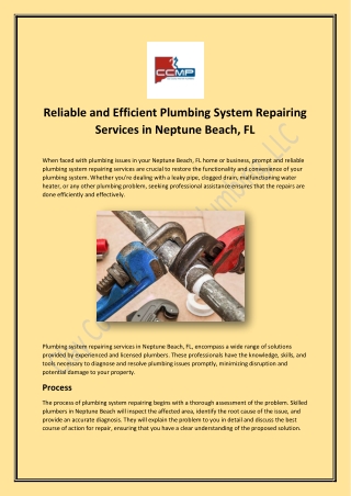 Reliable and Efficient Plumbing System Repairing Services in Neptune Beach