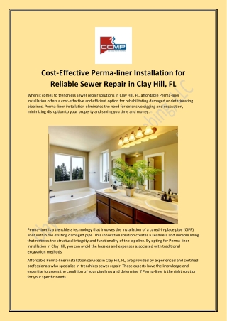 Cost-Effective Perma-liner Installation for Reliable Sewer Repair in Clay Hill, FL