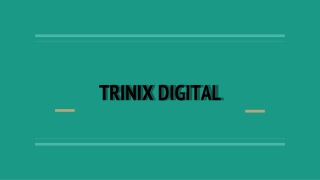 Digital Marketing Agencies in Malappuram - Edappal