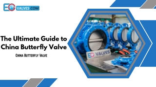 The Ultimate Guide to China Butterfly Valve