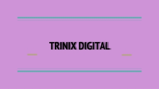 Trinix Digital: Digital Marketing in Edappal