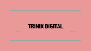 Trinix Digital - Social Media Marketing in Edappal