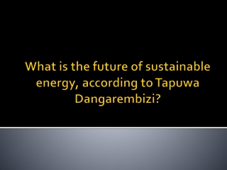 What is the future of sustainable energy, according to Tapuwa Dangarembizi