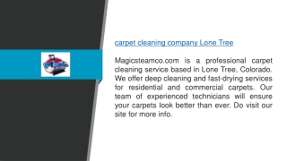 Carpet Cleaning Company Lone Tree Magicsteamco.com